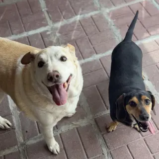 Marge And Homer