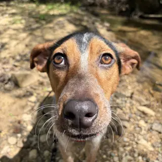 Darby    Lower Fee!