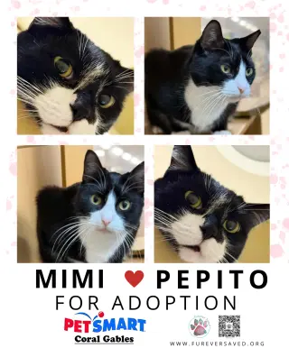Mimi and Pepito