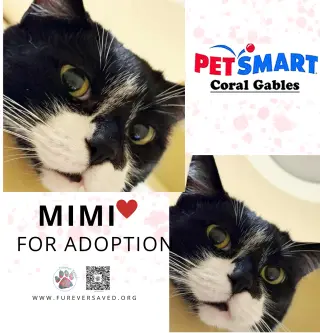 Mimi and Pepito