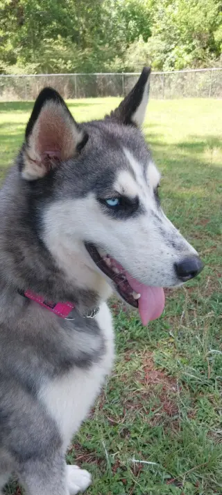 Wilma
