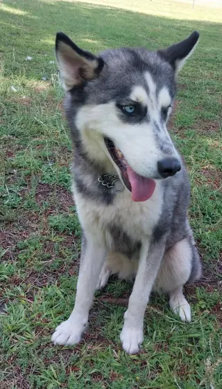 Wilma
