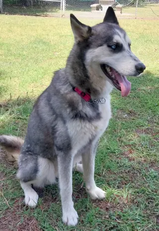 Wilma