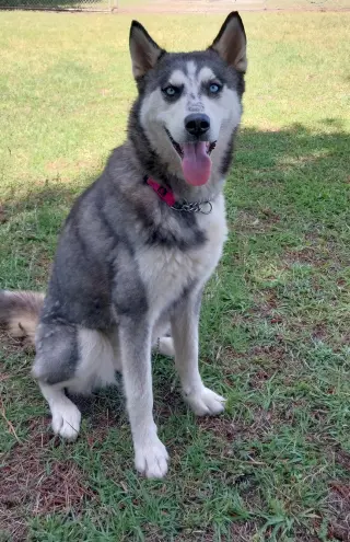 Wilma