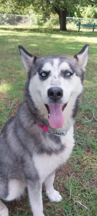 Wilma