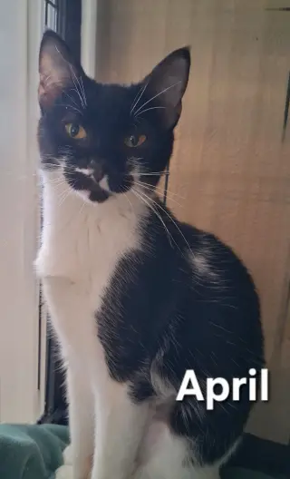 April
