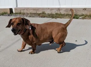 Henry in TN