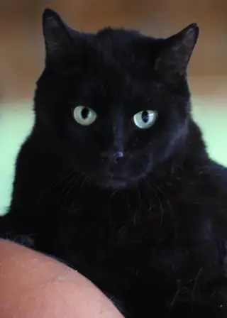 George