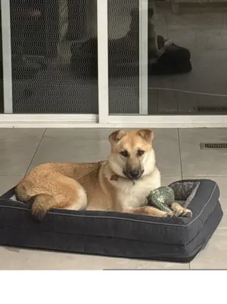 Roxie