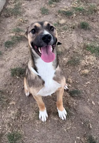 Lucy