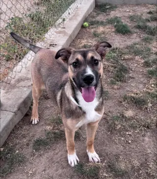 Lucy
