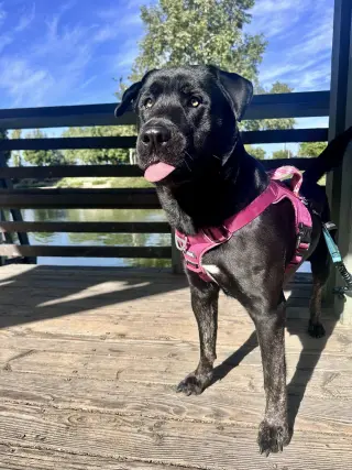 Murphy