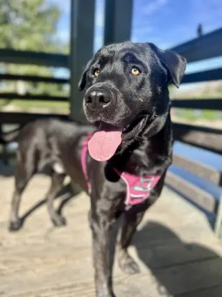 Murphy