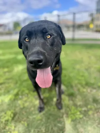 Murphy