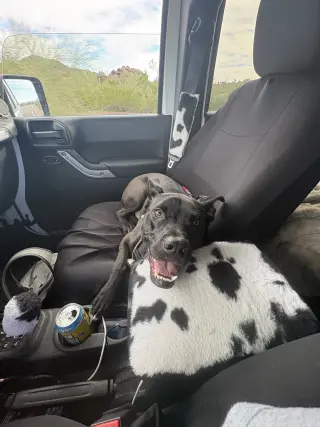 Rocco