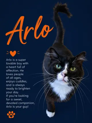 Arlo (FCID# 04/22/2026 - 35 Middletown PS) C