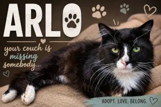 Arlo (FCID# 04/22/2026 - 35 Middletown PS) C