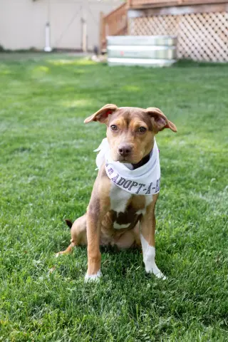 Sally Sue