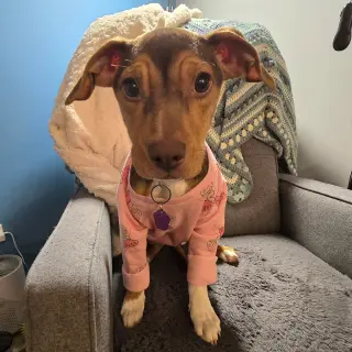 Sally Sue