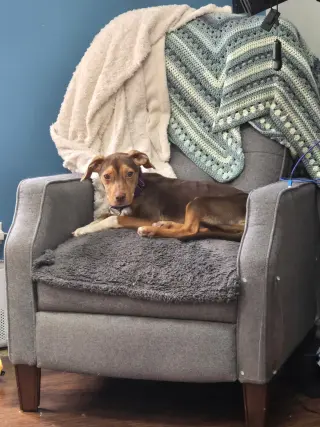 Sally Sue