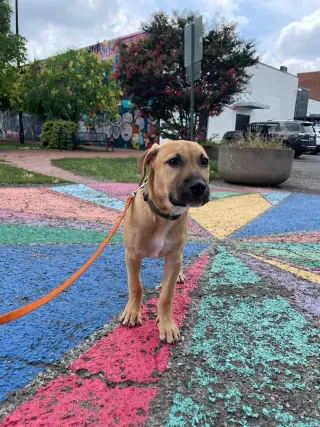 Kobe