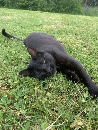 Lucy