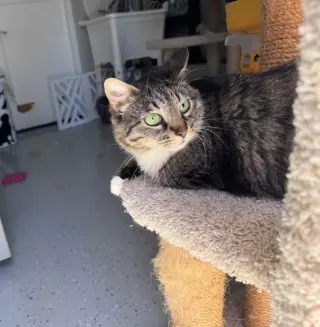 Luna