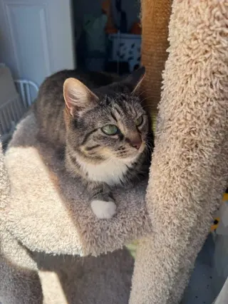 Luna