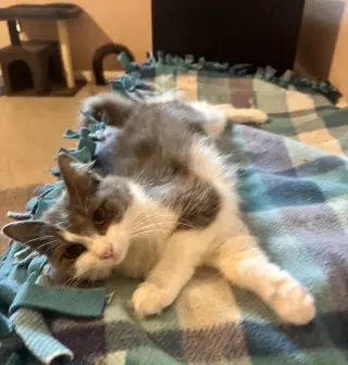 Lucy =^.^=