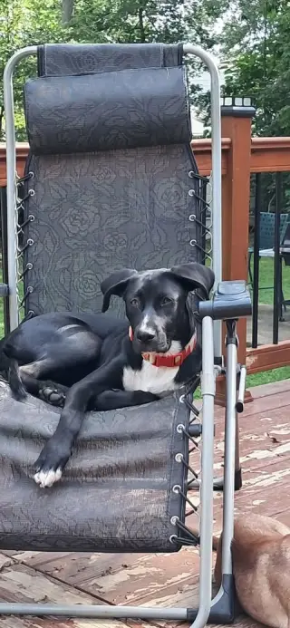 JOLIE