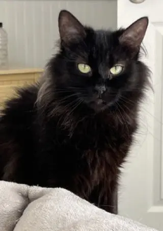 GEORGIA