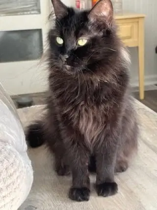GEORGIA