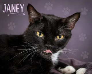 Janey (FCID# 04/20/2026 - 89 Trainer)