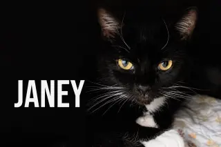 Janey (FCID# 04/20/2026 - 89 Trainer)