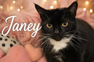 Janey (FCID# 04/20/2026 - 89 Trainer)