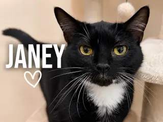 Janey (FCID# 04/20/2026 - 89 Trainer)