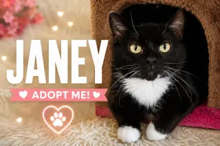 Janey (FCID# 04/20/2026 - 89 Trainer)