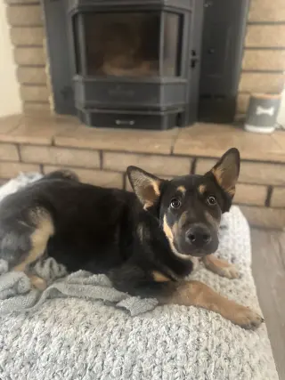 Mitch