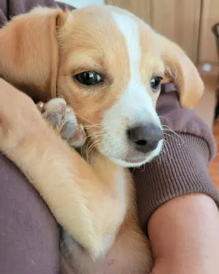Max