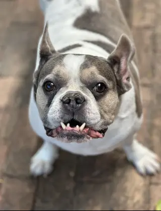 Skylar