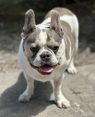 Skylar