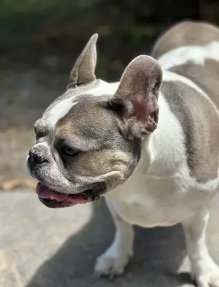 Skylar