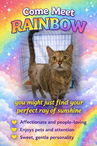 Rainbow (FCID# 04/08/2026 - 20)