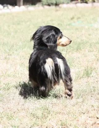 Nutmeg2 (located in Cumming, GA)