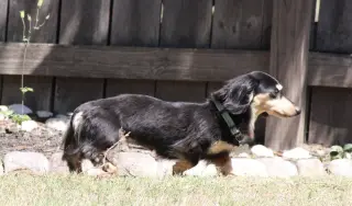 Nutmeg2 (located in Cumming, GA)