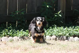 Nutmeg2 (located in Cumming, GA)
