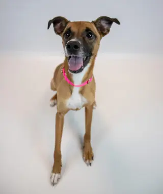 Nora