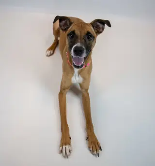 Nora