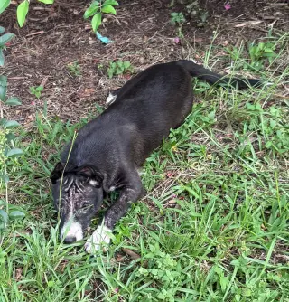 Loretta