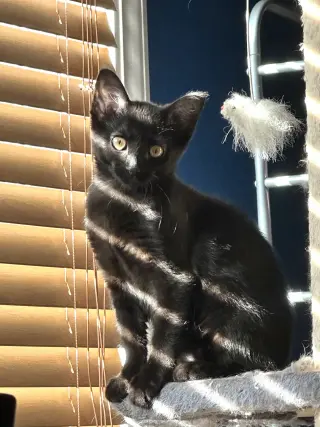 Eclipse